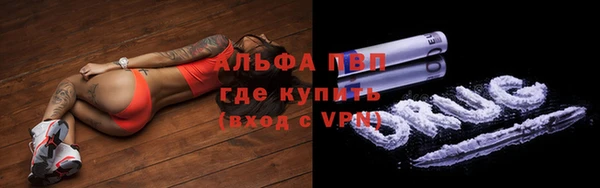 ECSTASY Кукмор