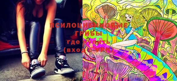 ECSTASY Кукмор