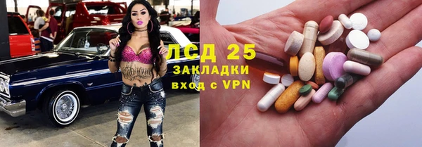 ECSTASY Кукмор