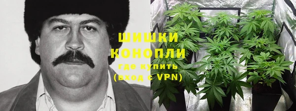 ECSTASY Кукмор