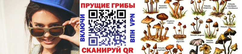 omg ONION  Сатка  Галлюциногенные грибы Psilocybe 