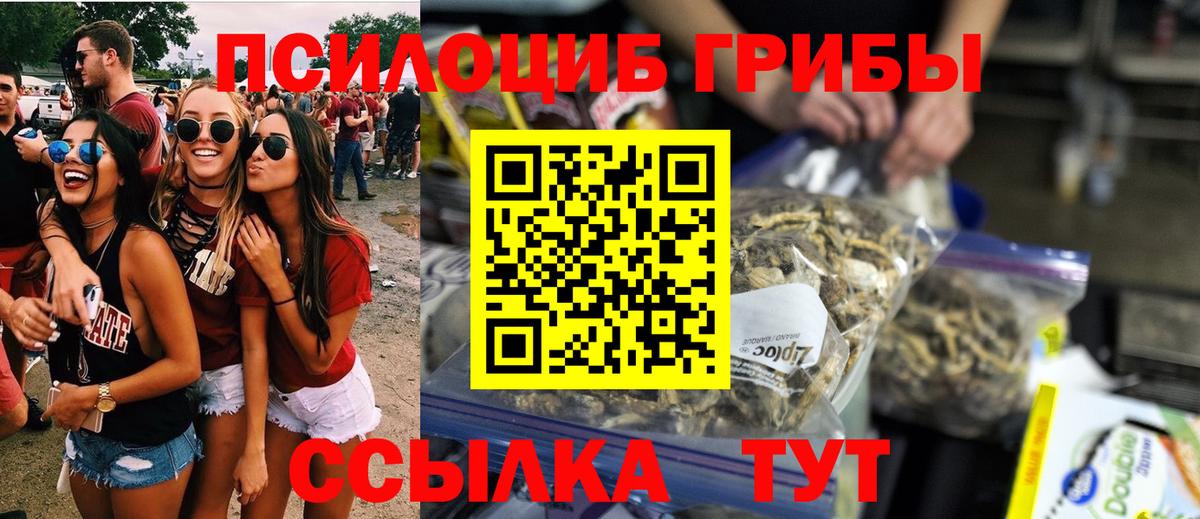 Сатка  Псилоцибиновые грибы мицелий  Галлюциногенные грибы MAGIC MUSHROOMS  Вход с VPN 